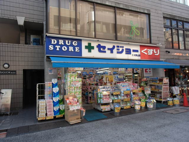 ドラックストア　くすりセイジョー大岡山店（ドラッグストア）まで731m