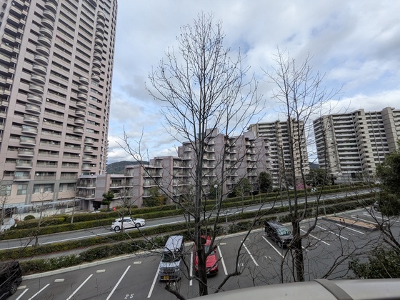 眺望　※別部屋の写真です