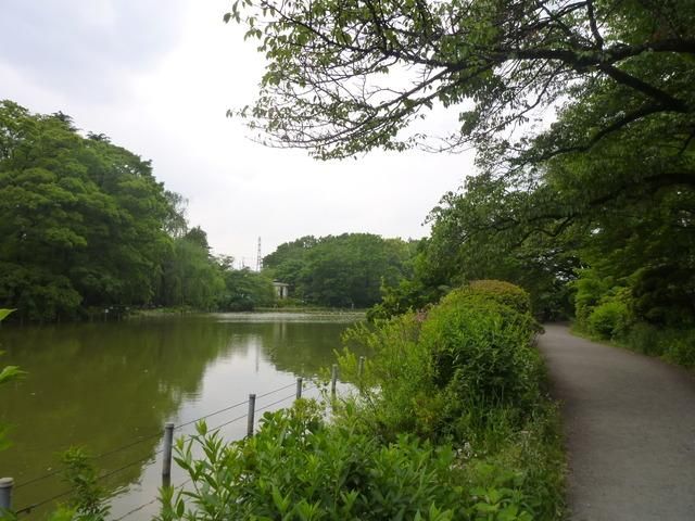 公園　善福寺公園（公園）まで450m