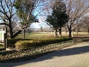 公園　青葉の森公園（公園）まで680m