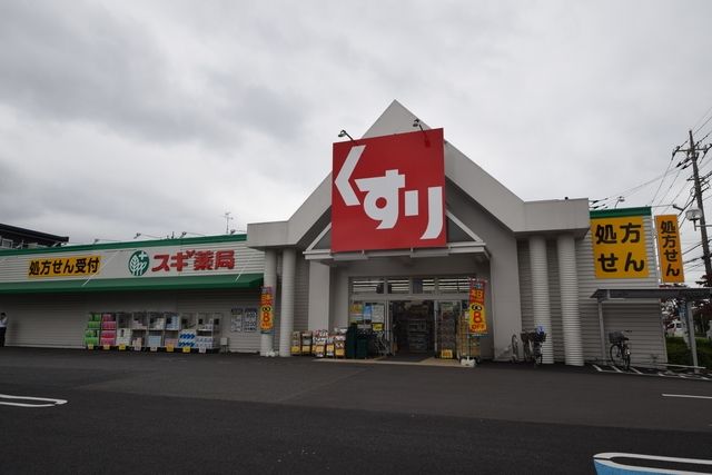 ドラックストア　スギ薬局草加店（ドラッグストア）まで1208m