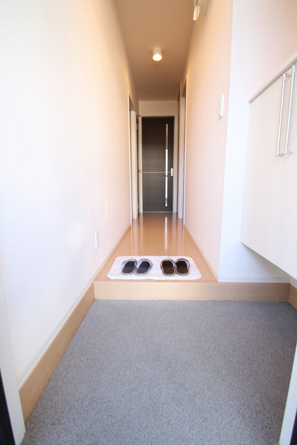玄関　玄関からの眺め