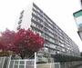 東野駅より徒歩7分 1階 築51年1ヶ月の賃貸物件