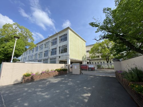 小学校　四條畷市立くすのき小学校（小学校）まで582m