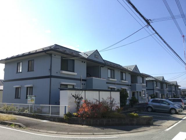 ディアス カムトゥルー