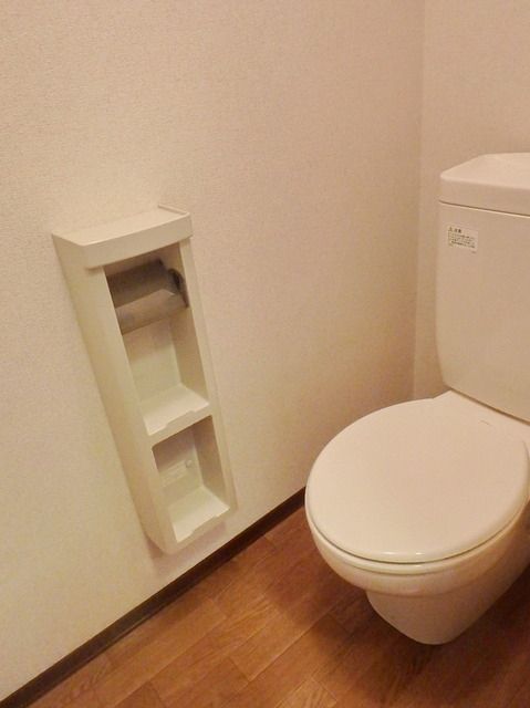 サンデューク恋ヶ窪IIのトイレ写真