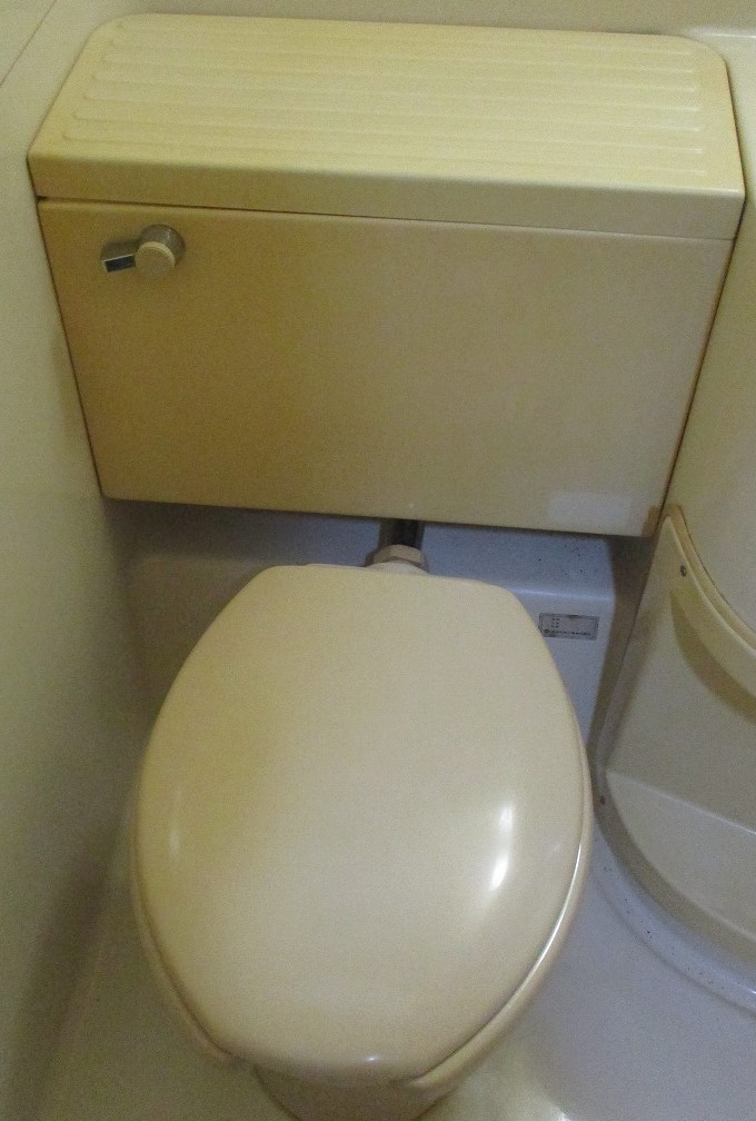 弦巻アパートメントのトイレ写真