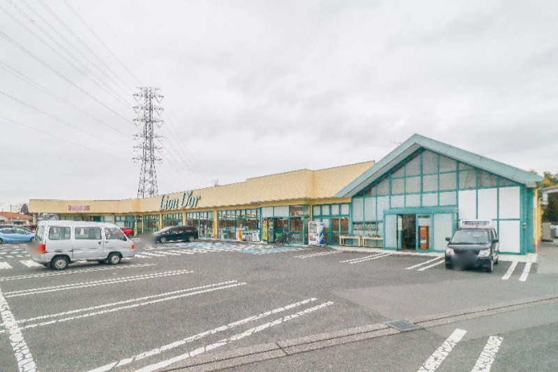 スーパー　リオン・ドール高根沢店（スーパー）まで1105m