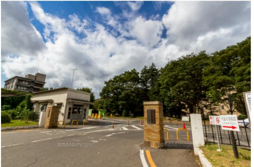 【千葉市中央区栄町のマンションの大学・短大】