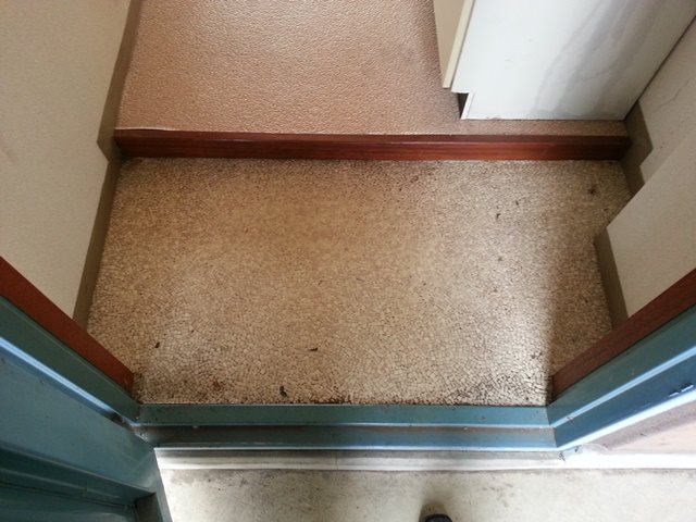 玄関　※参考写真