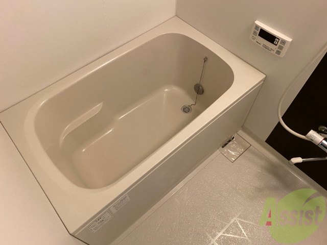 バス・シャワールーム　お風呂はこちらです。ゆったりできそうですね。