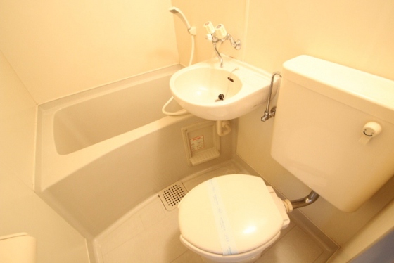 トイレ　※別号室の写真