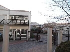 小学校　神戸市立月が丘小学校（小学校）まで1141m