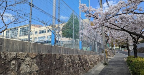 中学校　神戸市立住吉中学校（中学校）まで636m