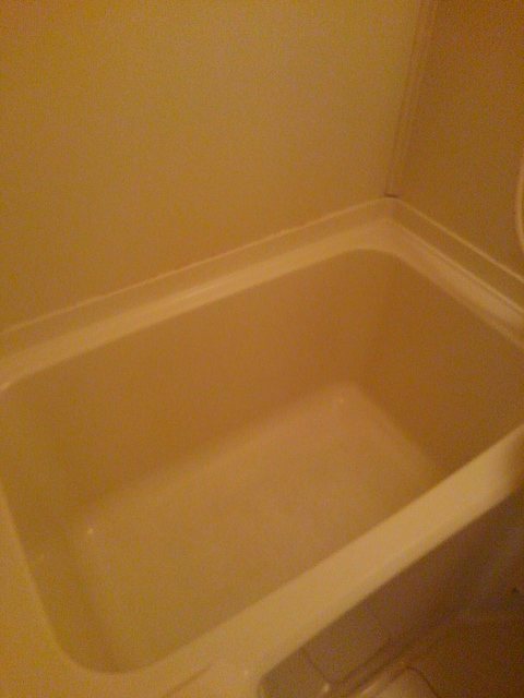 バス・シャワールーム　同物件別号室の写真です。