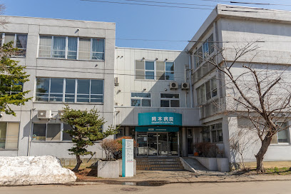 病院　医療法人社団正心会岡本病院（病院）まで879m