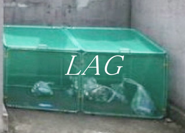 その他共有部分　共用ゴミ捨て場です。