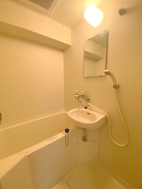 バス・シャワールーム　※写真は別号室です。