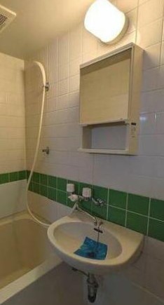 洗面設備　他部屋参考写真