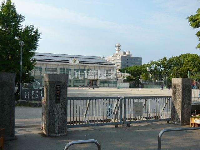 小学校　鹿児島市立南小学校（小学校）まで415m