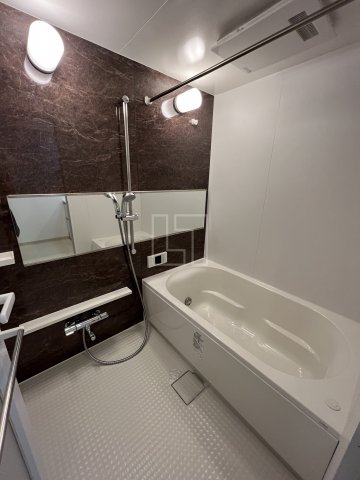 バス・シャワールーム　グランカーサ難波元町　浴室