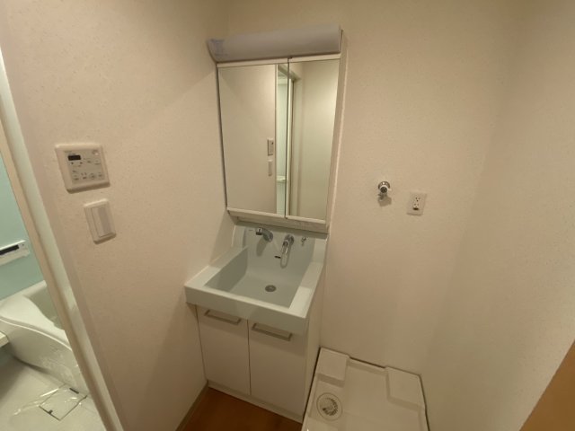 洗面設備　洗面所内に洗濯機置場あり♪