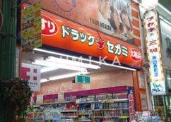 ドラックストア　ドラッグセガミ岡山表町店（ドラッグストア）まで763m