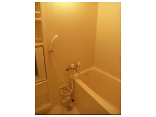 バス・シャワールーム　類似別物件の写真です