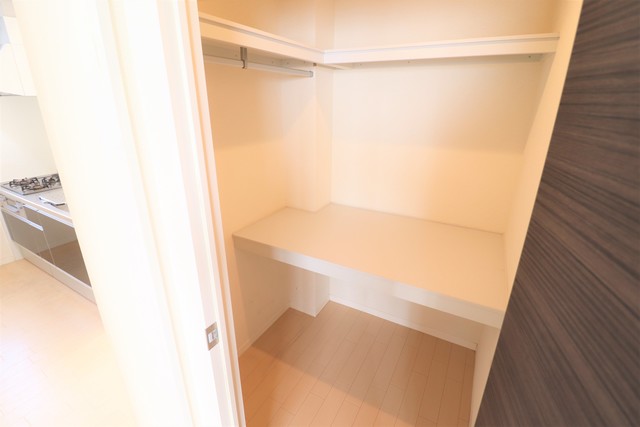収納　ウォークインクローゼット