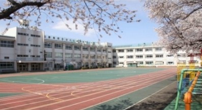 小学校　豊島区立 さくら小学校（小学校）まで428m