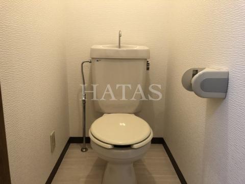 トイレ　同物件別部屋の写真です