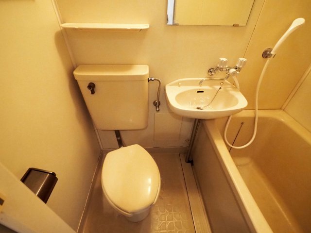 トイレ　同物件・別部屋画像