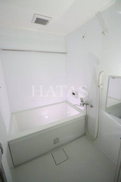 バス・シャワールーム　同物件別部屋です。
