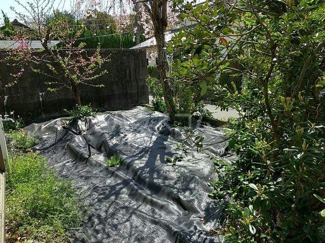 庭