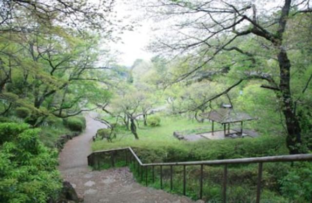 公園　★★大倉山公園（公園）まで1009m