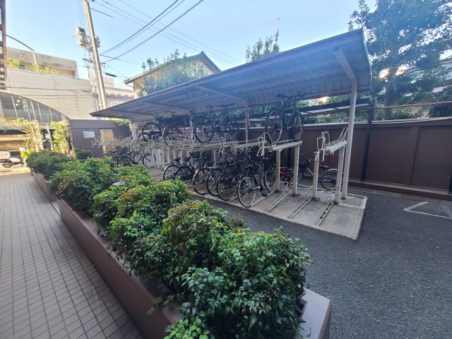 庭