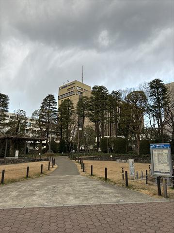 役所　江東区役所（役所）まで690m