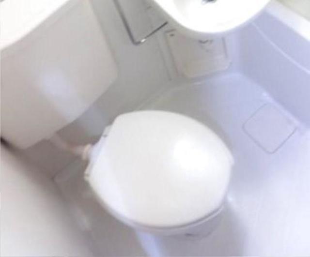 トイレ　部屋同仕様タイプ