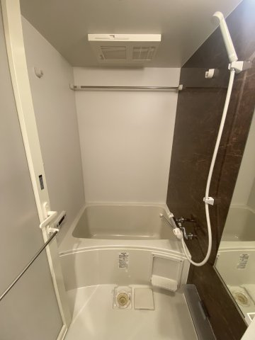 バス・シャワールーム　※写真は同じマンションの違う部屋のものになります。