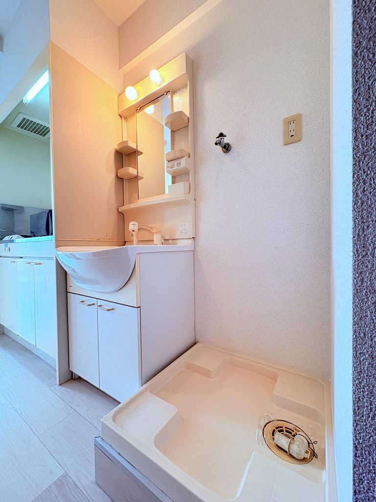 洗面設備　別部屋の写真です