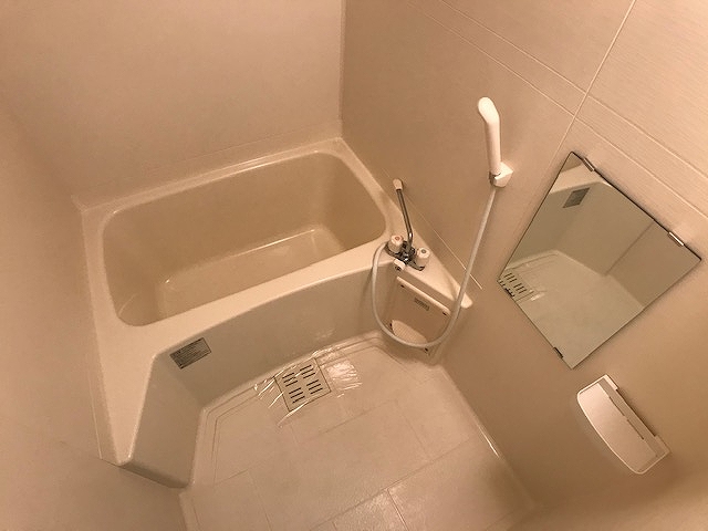 レジュールアッシュ梅田LUXEの風呂写真