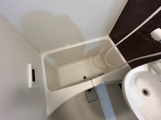 バス・シャワールーム　※別部屋の写真です