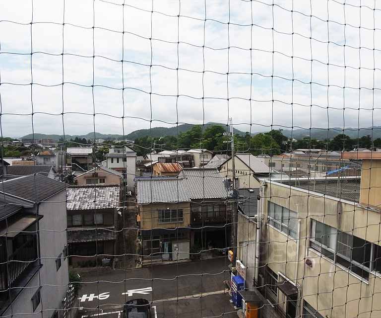 眺望　室外風景