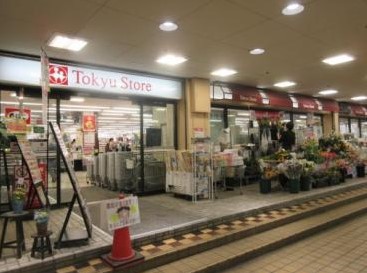 スーパー　東急ストア／菊名店（スーパー）まで252m