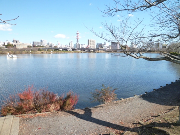 その他　千波湖（その他）まで800m