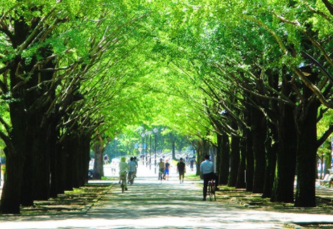 公園　光が丘公園（公園）まで1040m