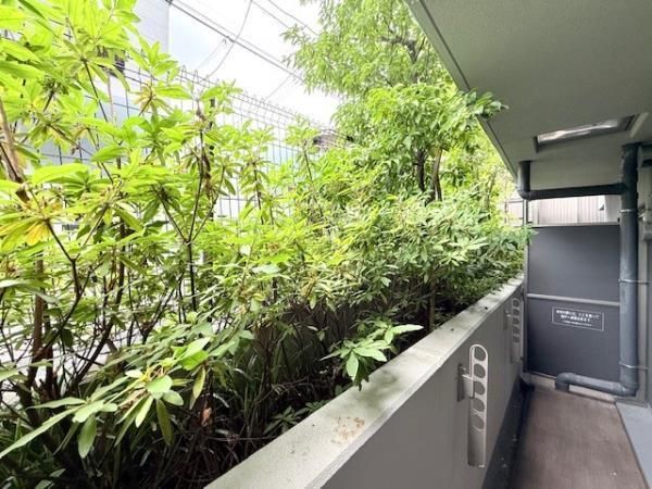 バルコニー　広々としたバルコニーです