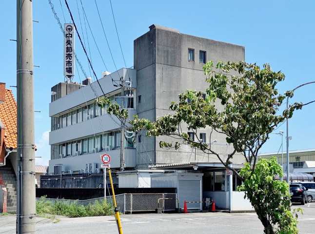 その他　中央卸市場（その他）まで371m