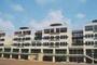 小学校　第二日野小学校（小学校）まで545m