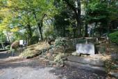 公園　世田谷城阯公園（公園）まで290m